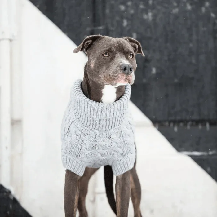 GF Pet Chalet Sweater Grey For Dogs