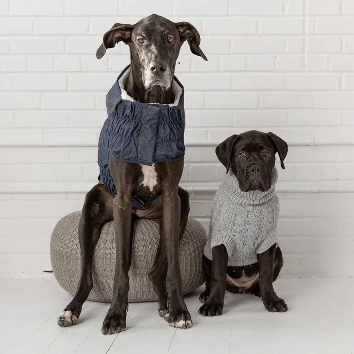 GF Pet Chalet Sweater Grey For Dogs